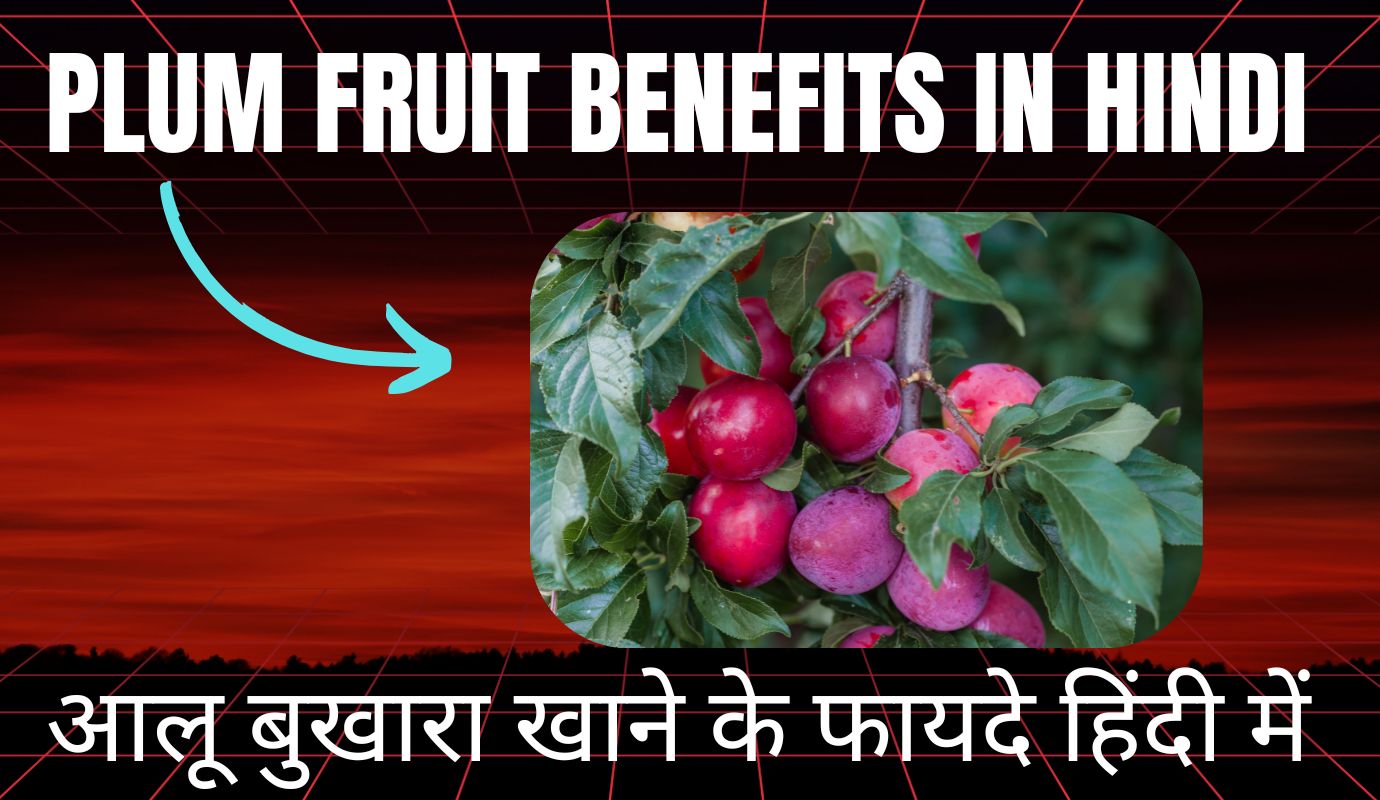 plum fruit benefits in hindi 20250915 145215 00007281144364037188648